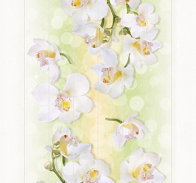 Коллекция Unique Орхидеи  фото 2